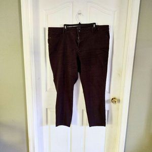 Women's jeans from Dress Barn size 24